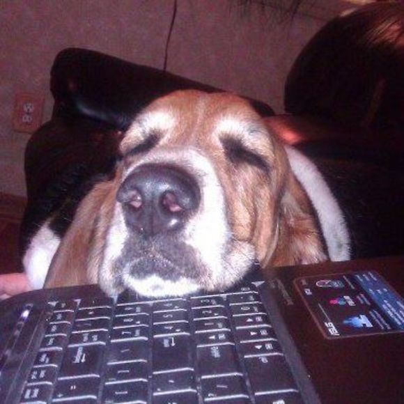 Meet your Posher, Kim - Picture 1 of 1